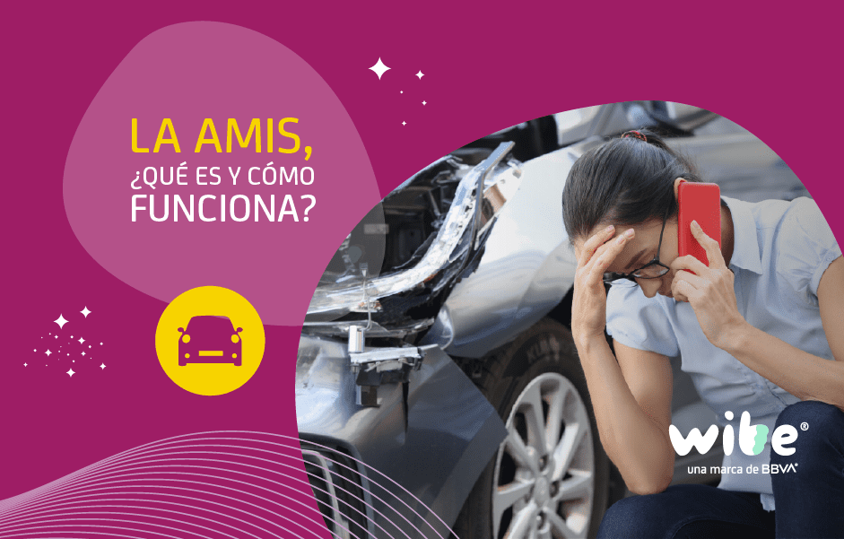 La AMIS, ¿qué es y cómo funciona?