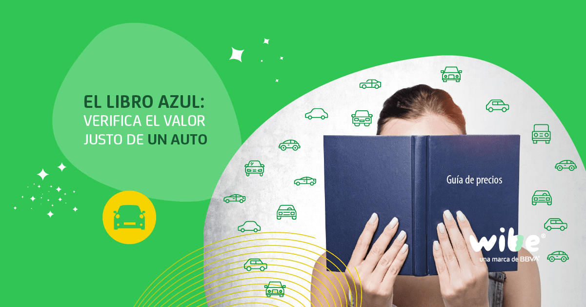 ¿Qué es el libro azul y para qué sirve?